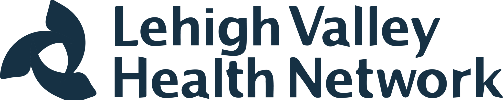 Client logo - Lehigh Valley Health Network